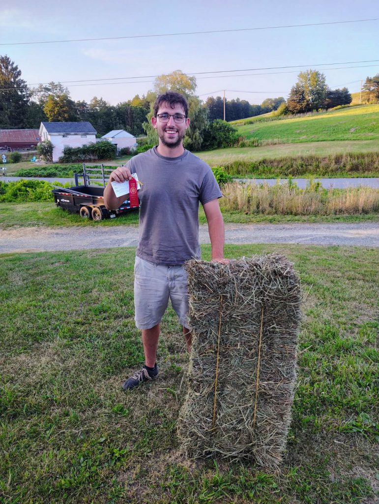 Award Winning Hay